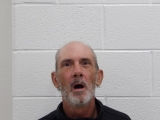 Mugshot of WADE L BULLINGTON