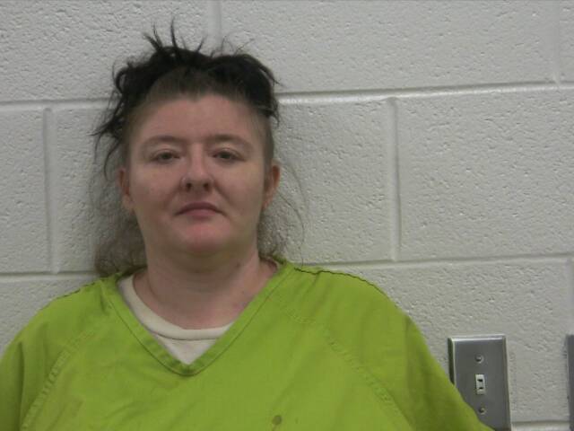 Mugshot of ASHLEY N HOBBY