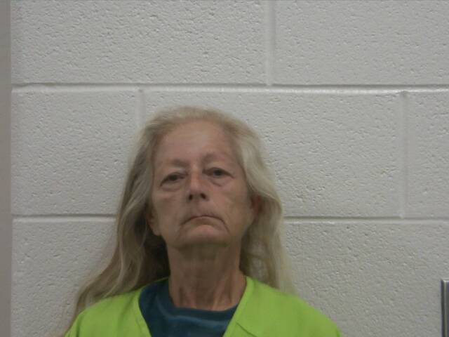 Mugshot of ELIZABETH P MORGAN