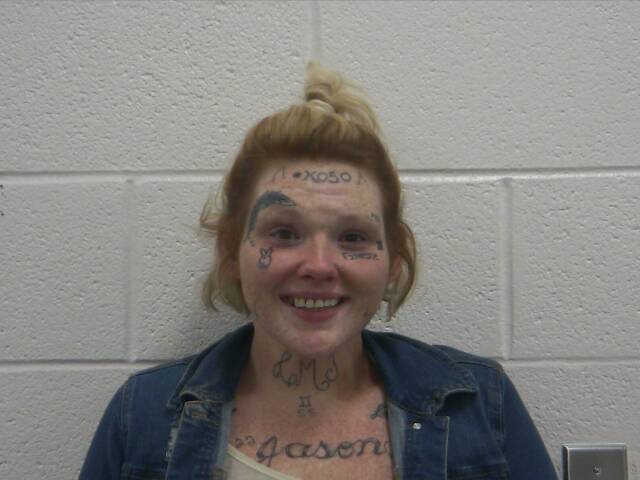 Mugshot of REBECCA L HOLSTEIN