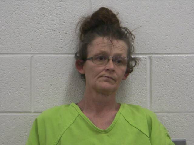 Mugshot of LISA M MCDONALD