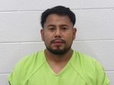 Mugshot of DANILO A MARTINEZ-MARTINEZ