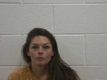Mugshot of CHRISTINA D YOUNG