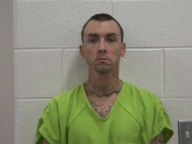 Mugshot of MICKEY D MARLOW