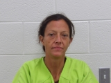 Mugshot of TANNAH R BROCK