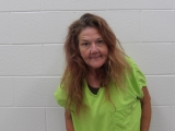 Mugshot of MICHELLE L HURST