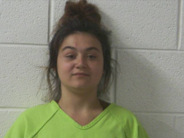 Mugshot of SHAELYNN M BROWN