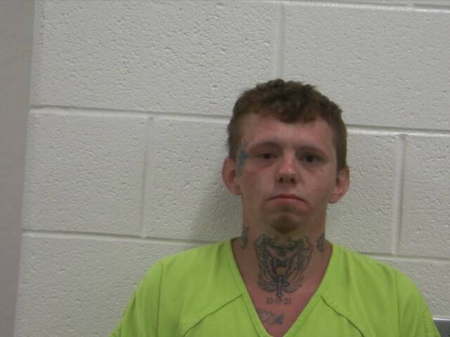 Mugshot of TYLER L RAY