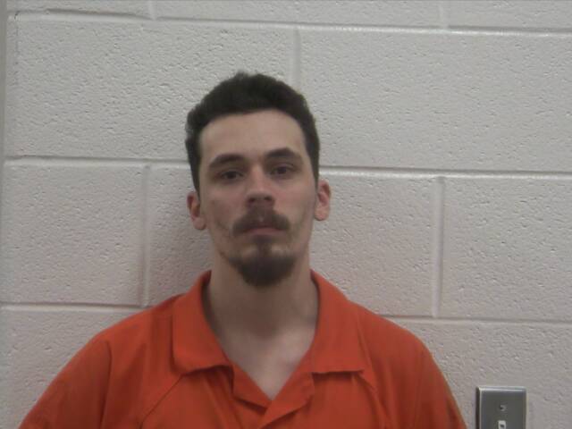 Mugshot of MARK A SHELTON