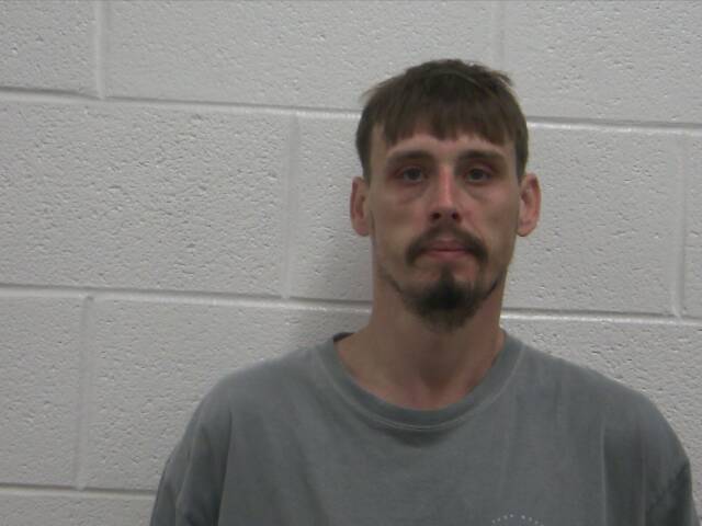 Mugshot of BRANDON S DUNN