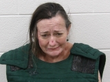 Mugshot of BRANDY L MCNALLY