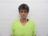 Mugshot of BRANDY A REDNOWER