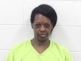Mugshot of SABRINA D PROFFITT