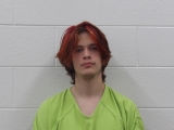 Mugshot of TYLER E GREEN