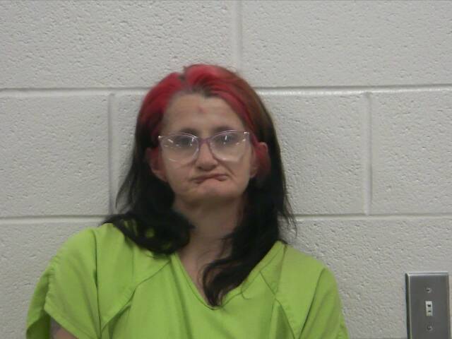 Mugshot of AMANDA M WESTON