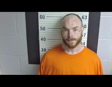 Mugshot of BAILEY A DOMKE