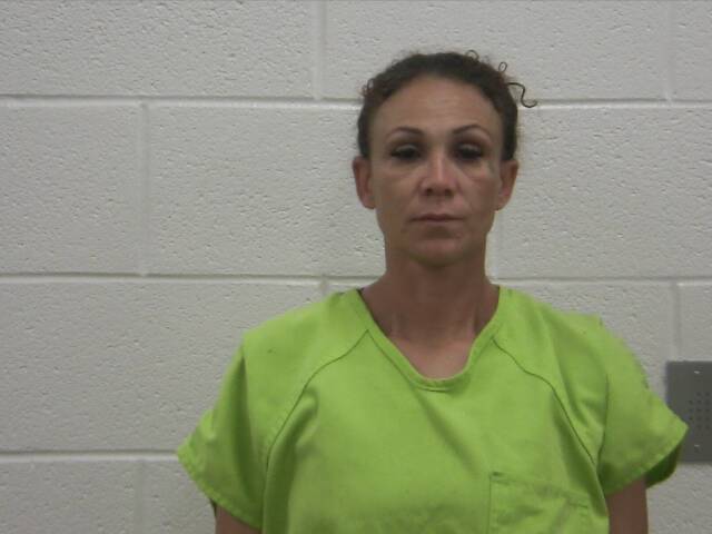 Mugshot of NINA R GUTIERREZ