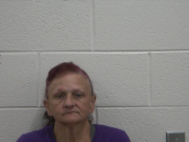 Mugshot of LESLIE S SAMSEL