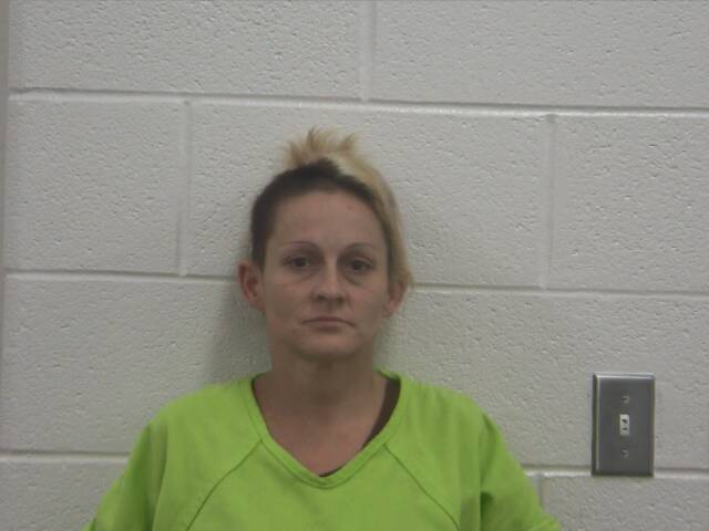 Mugshot of SHELLEY M BROOKS