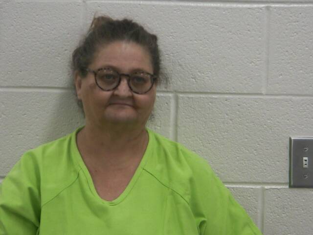 Mugshot of NANCY L CHRISTIAN