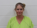 Mugshot of AMANDA J DAWSON
