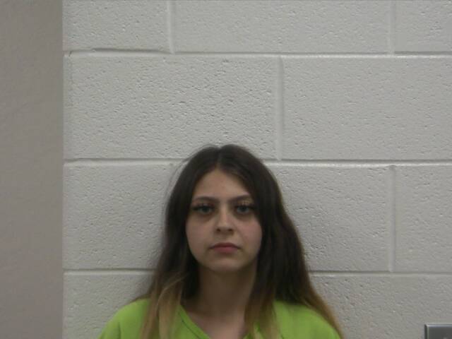 Mugshot of GABERIELA R SCARVELLI