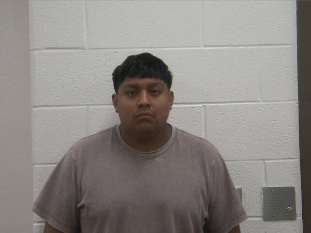 Mugshot of BRYAN N GUZMAN