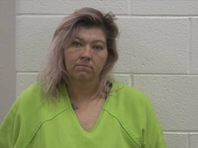 Mugshot of LESLIE L BRYANT