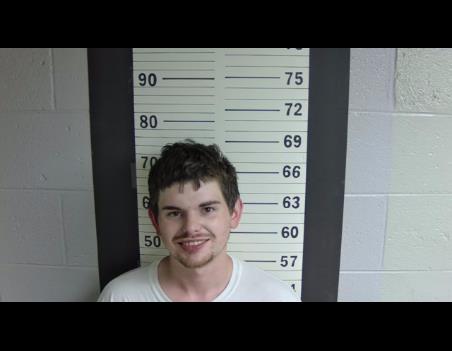 Mugshot of DYLAN T WHITWORTH