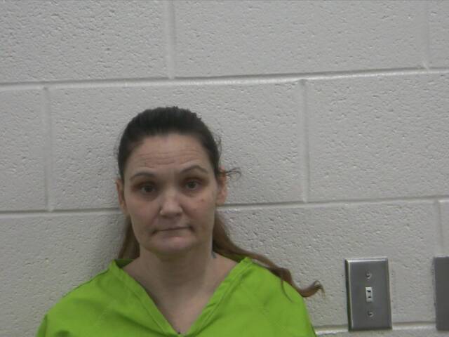 Mugshot of WENDY C LANGFORD