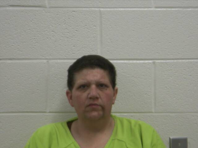 Mugshot of TINA L LAWSON