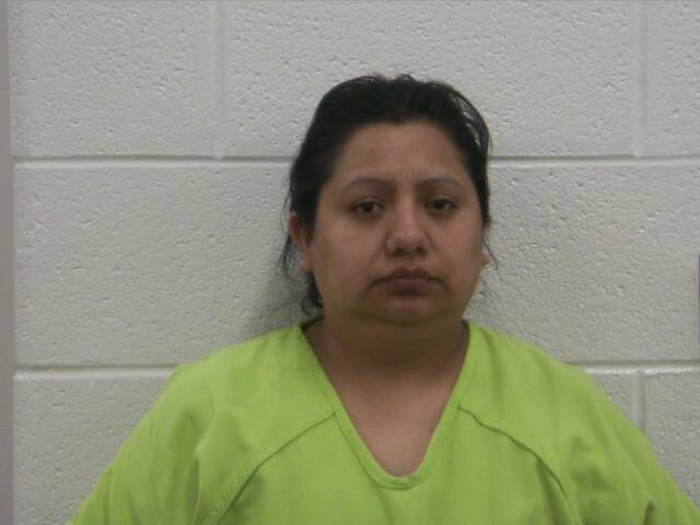 Mugshot of ELENA N JUAN DIEGO