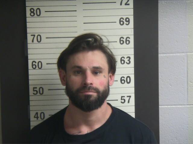 Mugshot of DUSTIN L NELSON