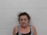 Mugshot of NICOLE A COFFEY