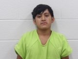 Mugshot of PASCUAL N ALONZO MENDOZA