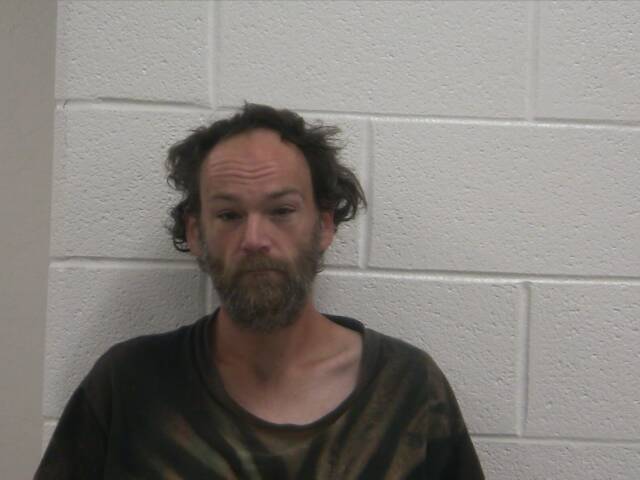 Mugshot of JAMES A BEVINS