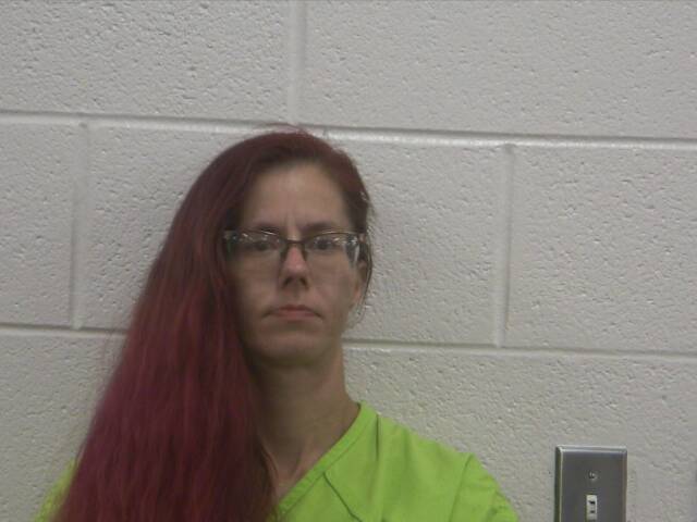 Mugshot of SHEANNA L FERRELL