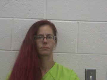 Mugshot of SHEANNA L FERRELL