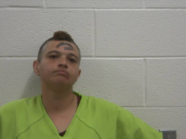 Mugshot of JOHNNIE R LONG