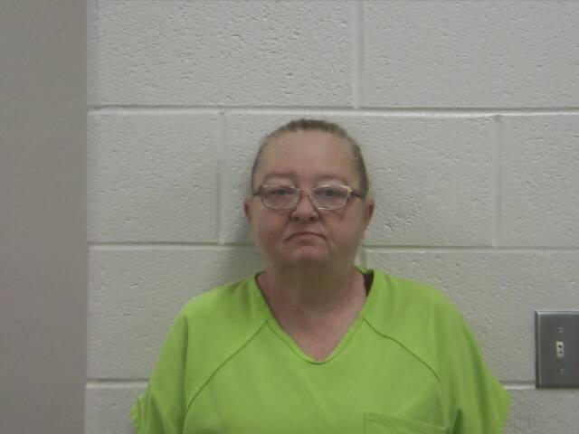 Mugshot of MELISSA D HEFNER