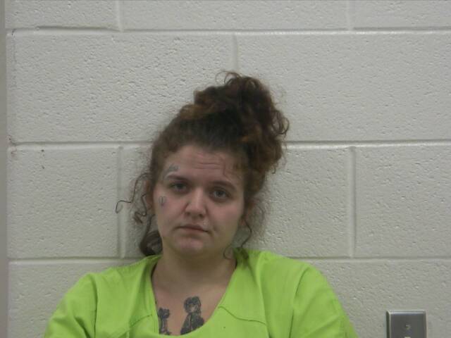 Mugshot of MADISON G WYRICK
