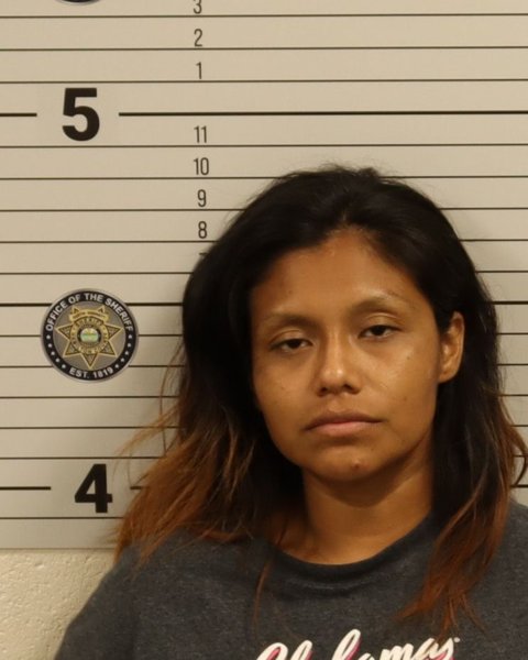 Mugshot of SONIA VICTORIA RAMIREZ