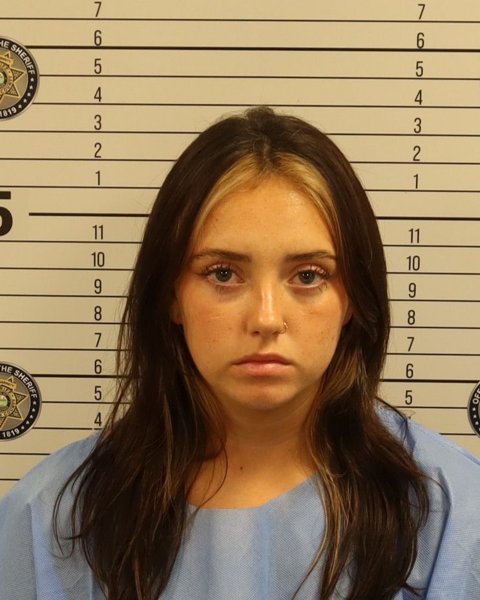Mugshot of CORINNE L LEWIS