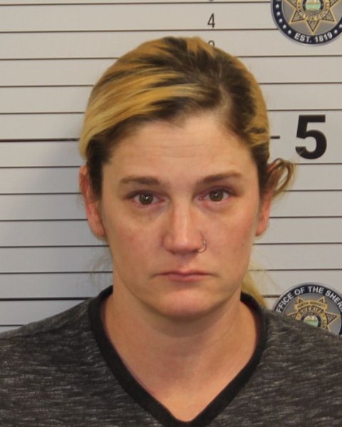 Mugshot of TONYA LYNN WALLIN
