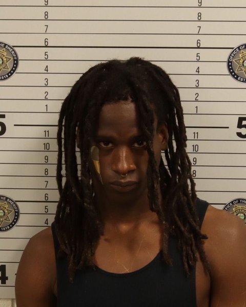 Mugshot of TYRESE L PERKINS