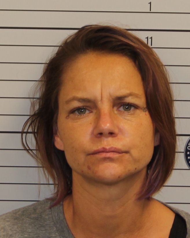 Mugshot of ALISON CHRISTY RASH SANDERS