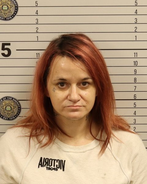 Mugshot of DOROTHY MARIE PARMENTER