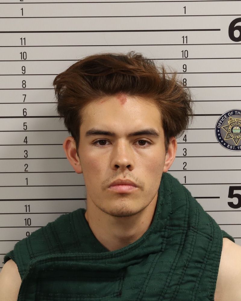 Mugshot of ACE JONAH MANLEY