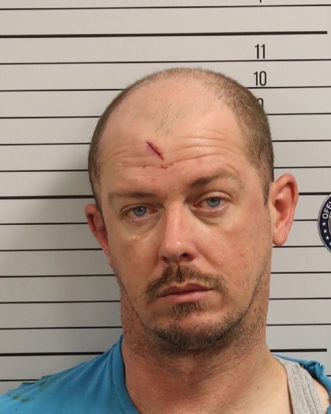 Mugshot of GARY L ELLISON