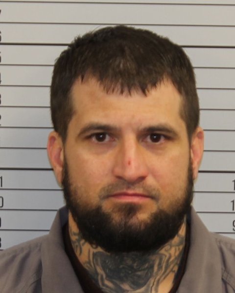 Mugshot of PATRICK SHANE MILLSAPS